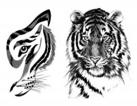 Animals tattoos - Animal tattoo - Tatuaggi animali Animals tattoos - Animal tattoo - Tatuaggi animali