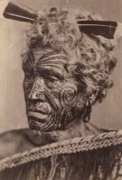 Tatuaggio sul volto di un maori, fotografia di fine XIX secolo