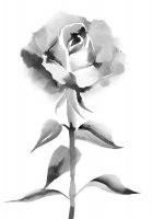 tatuaggi-watercolor-dr-zivago-tattoo tatuaggi-watercolor-dr-zivago-tattoo